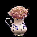 Allium akaka