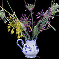 Allium flavum and carinatum